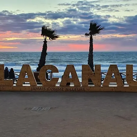 公寓 Magnifique Logement, Vue Imprenable Sur L'ocean