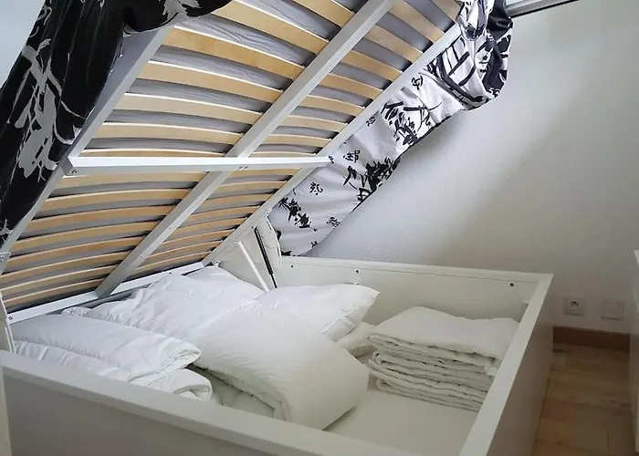 Magnifique Logement, Vue Imprenable Sur L'ocean Lacanau